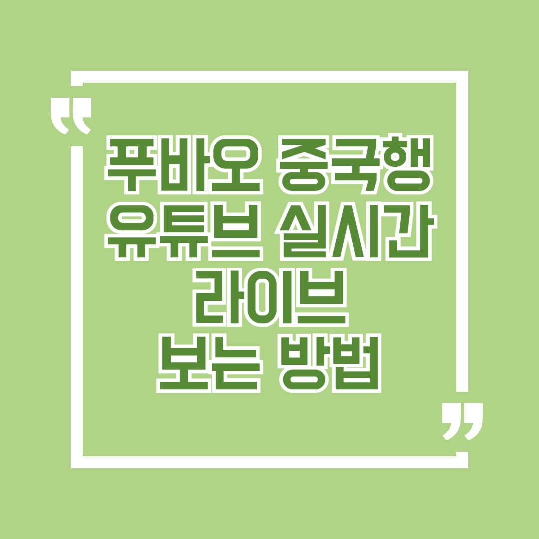 푸바오 중국행 실시간 영상 보기