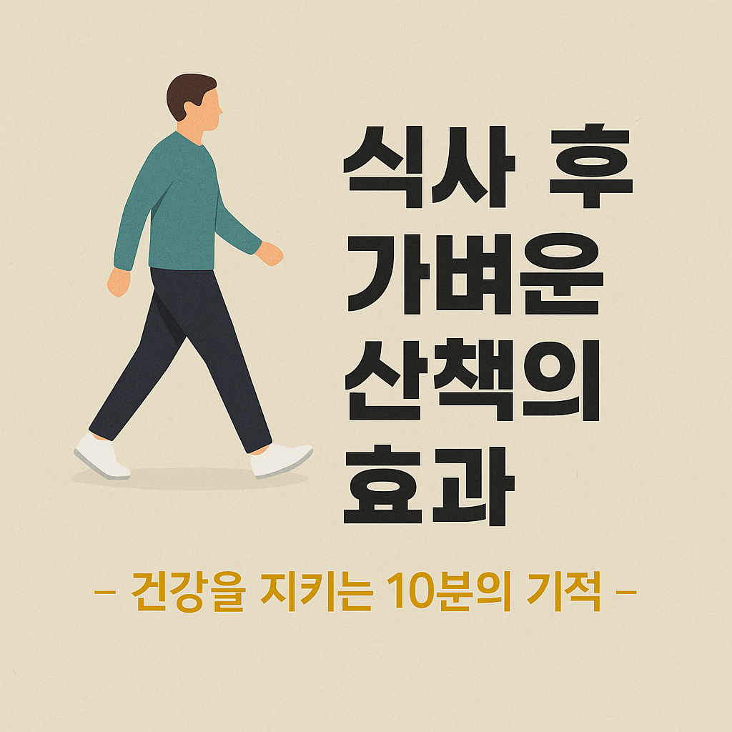 식사 후 가벼운 산책의 효과