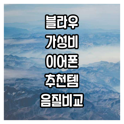 가성비 블라우풍트 이어폰 추천 노이즈..
