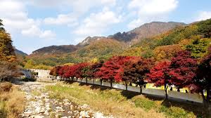 경북 가을 산행지 추천