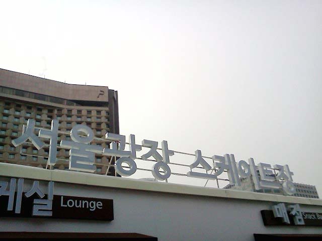 서울광장 스케이트장(Seoul Plaza Ice Rink)