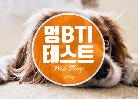 멍BTI