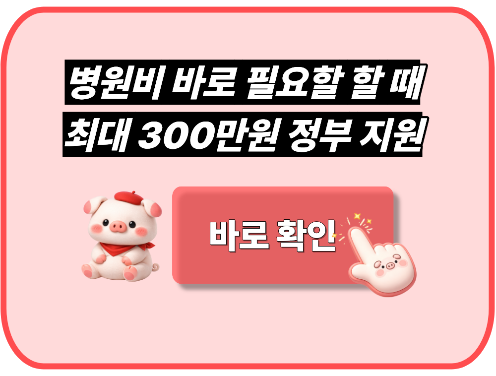 병원비 바로 필요할 때, 긴급의료비 300만원 정부 지원