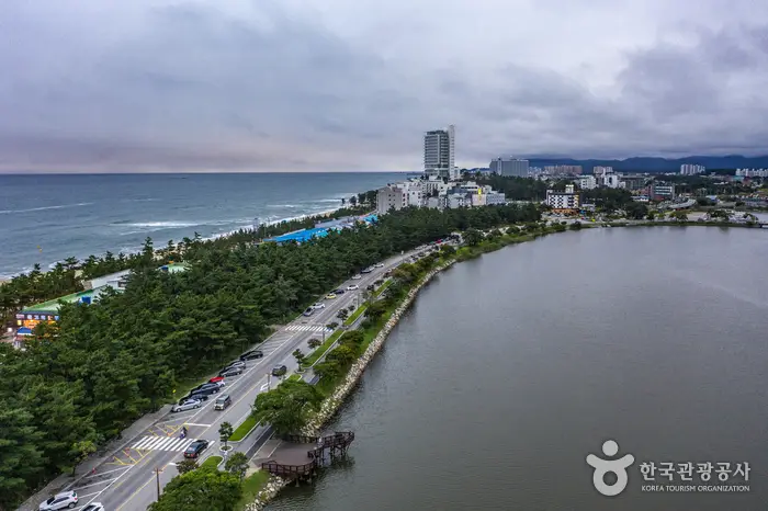 도로