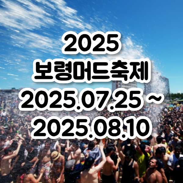 보령머드축제