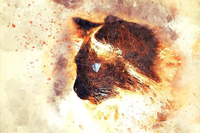 ⑭이유 없이 기분이 나쁜 날 - 무의식 감정 누적과 디지털 자극의 상관관계