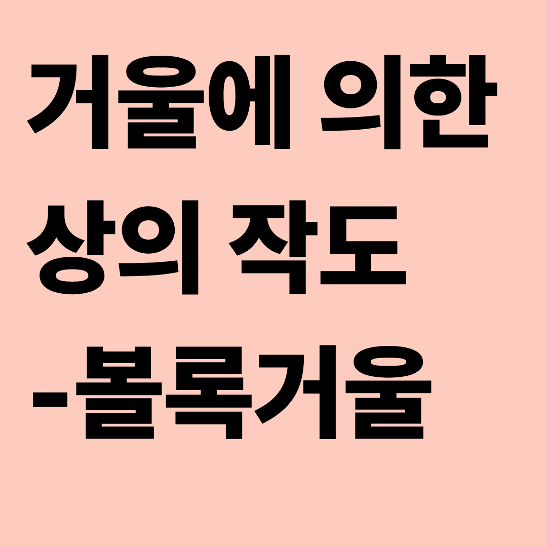 볼록거울에 의한 상의 작도