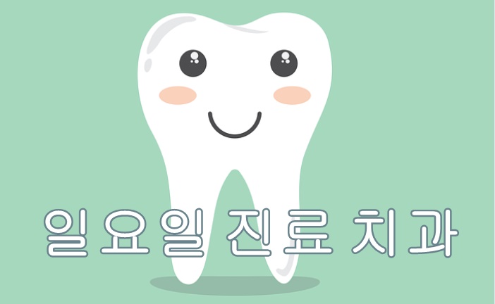 부산광역시 일요일 치과 진료 병원