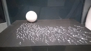 도쿄 여행 추천 도쿄 국립 과학 박물관