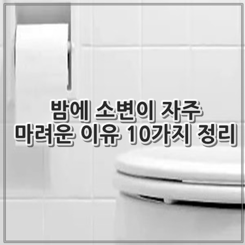 밤에 소변이 자주 마려운 이유 10가지 정리