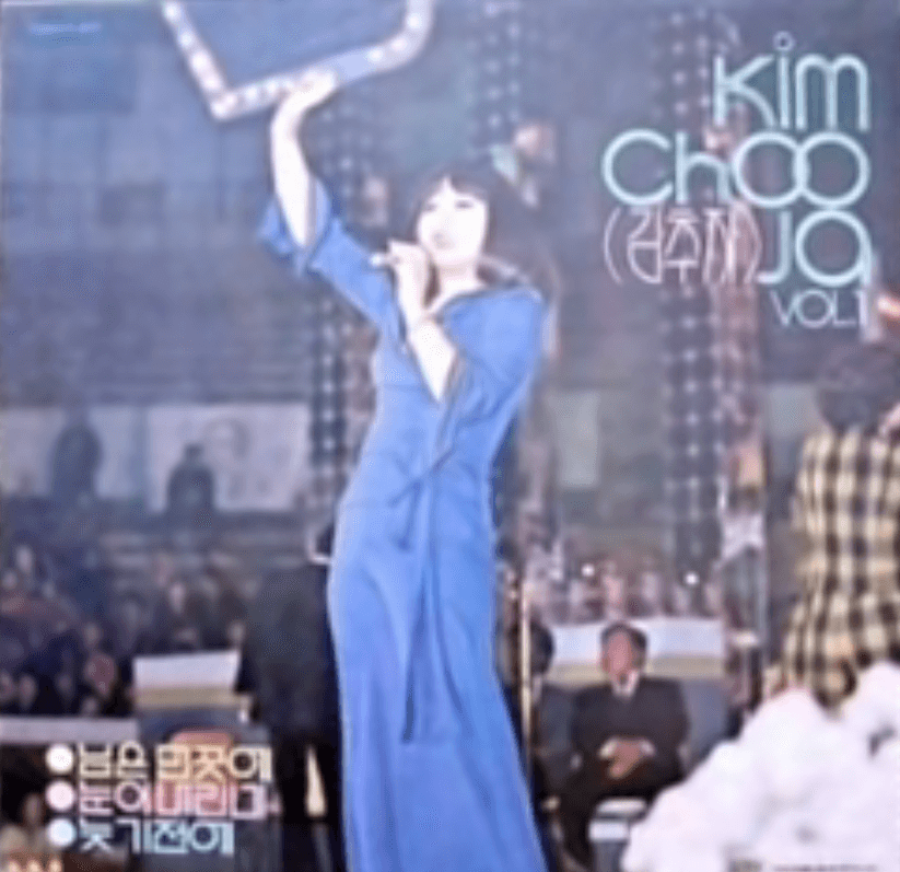 김추자 님은 먼 곳에