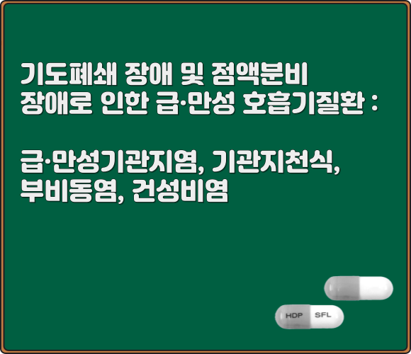 설포라제캡슐_효능