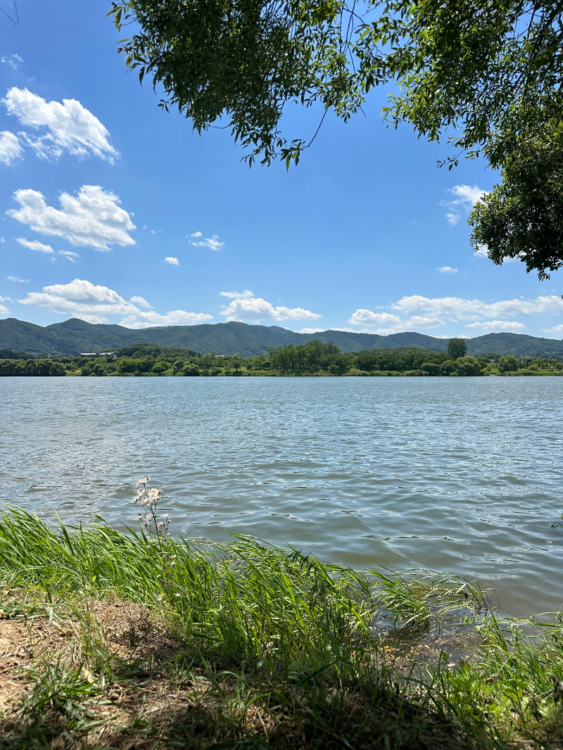 물소리길과-남한강