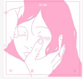 채보훈 프로필 (THE VANE &middot; 퍼플레인 보컬)
