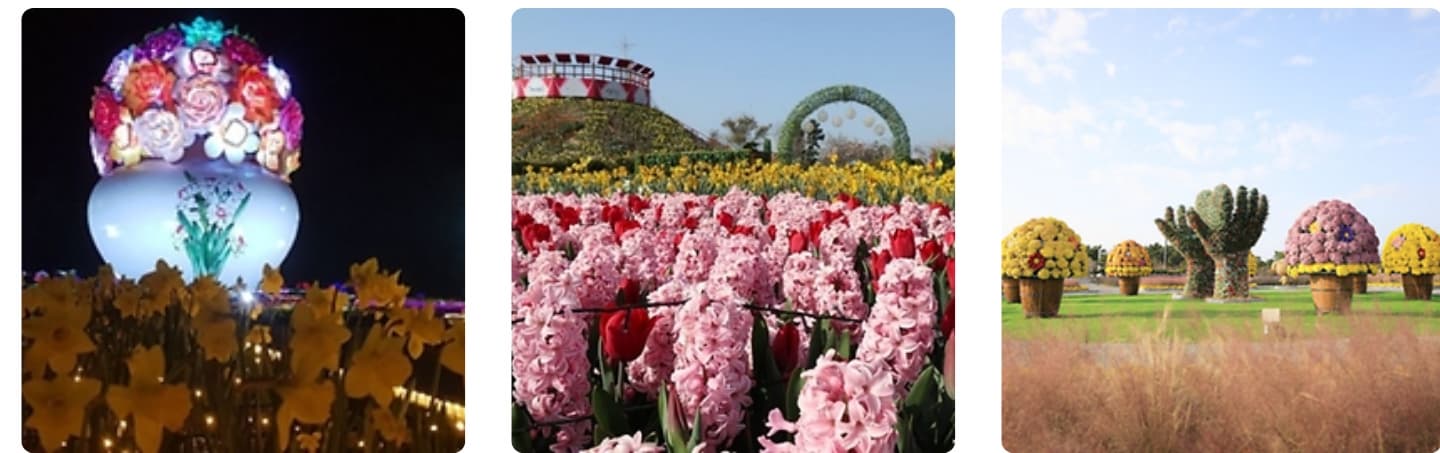 태안 봄꽃정원 & 태안빛축제|하루가 두 번 예쁜 곳