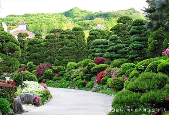 베어트리파크 철쭉제 봄과 철쭉