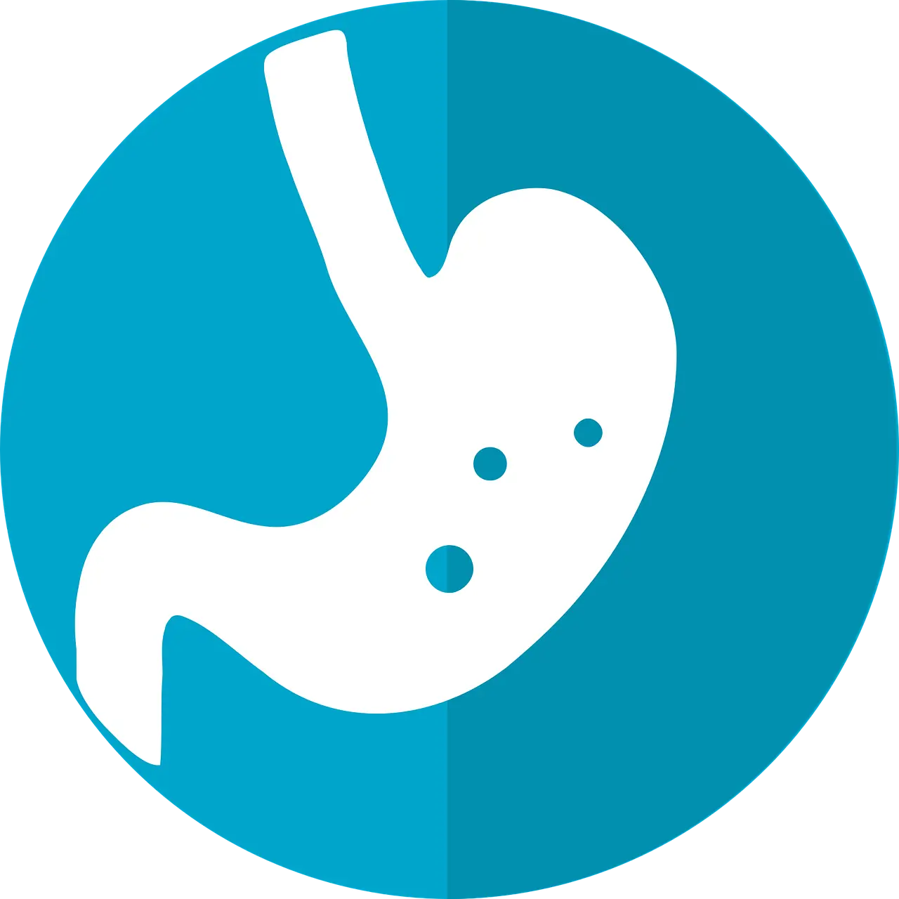 소식(小食) 생활의 건강 효과와 실천 가이드