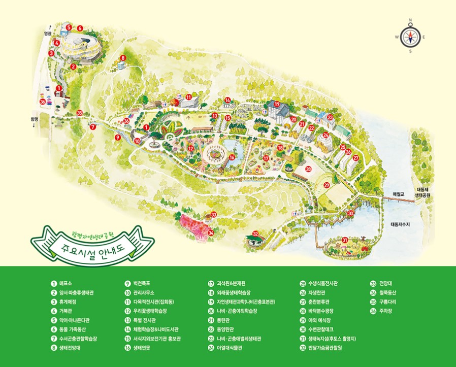 함평 자연생태공원 수국