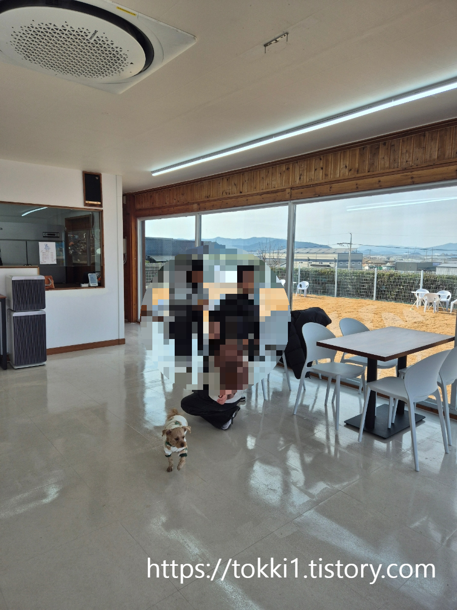 구미 산동 애견카페 또독하우스 넓은 잔디 운동장이 있는 신상 반려견 카페