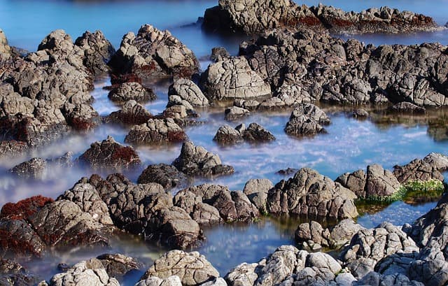 전문 여행 플래너의 체크리스트: 완벽한 여행을 위한 필수 요소