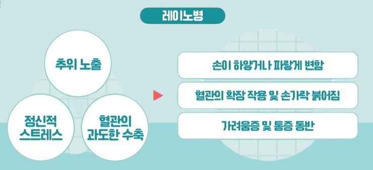 레이노 병