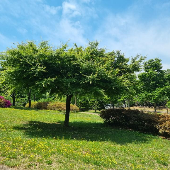 동네 산책 대구시청 별관