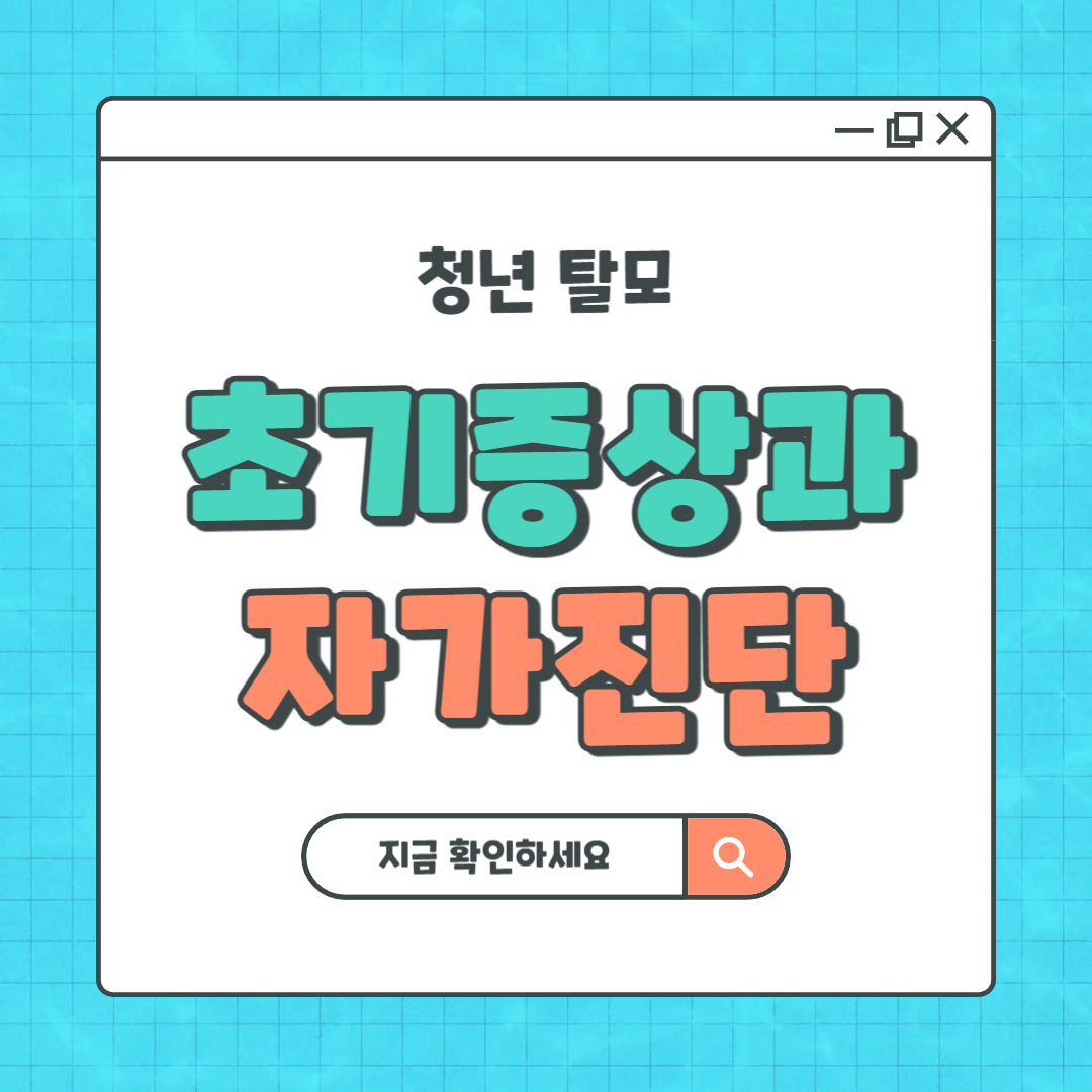 청년탈모증상