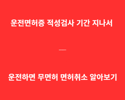 운전면허증 적성검사 기간 지나서 운전하면 무면허 면허취소