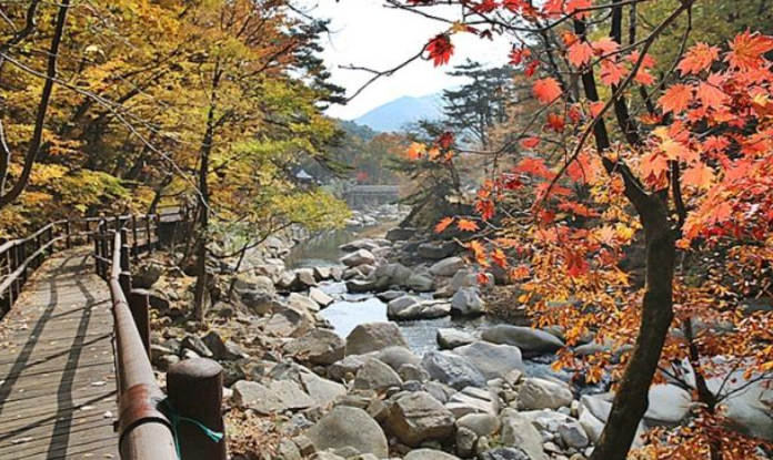 2025 가야산 단풍 절정시기 &amp; 인생샷 명소 + 등산코스 추천