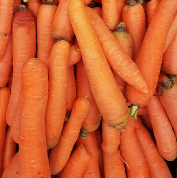 당근 효능 부작용 고르는법 칼로리