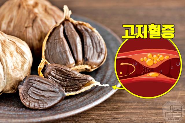 최고의 건강식품 세계보건기구 좋은음식 흑마늘 고지혈증