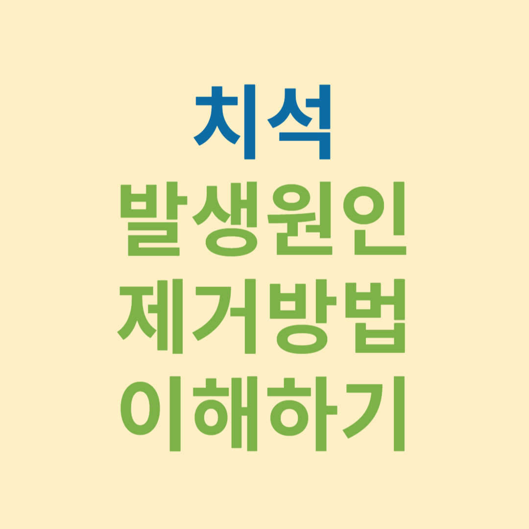 치석 치석발생 치석 제거방법 스케일링 스케일링 보험적용 스케일링 피 스케일링 통증 스케일링 주기 치석이유 스케일링 스케일링 시간