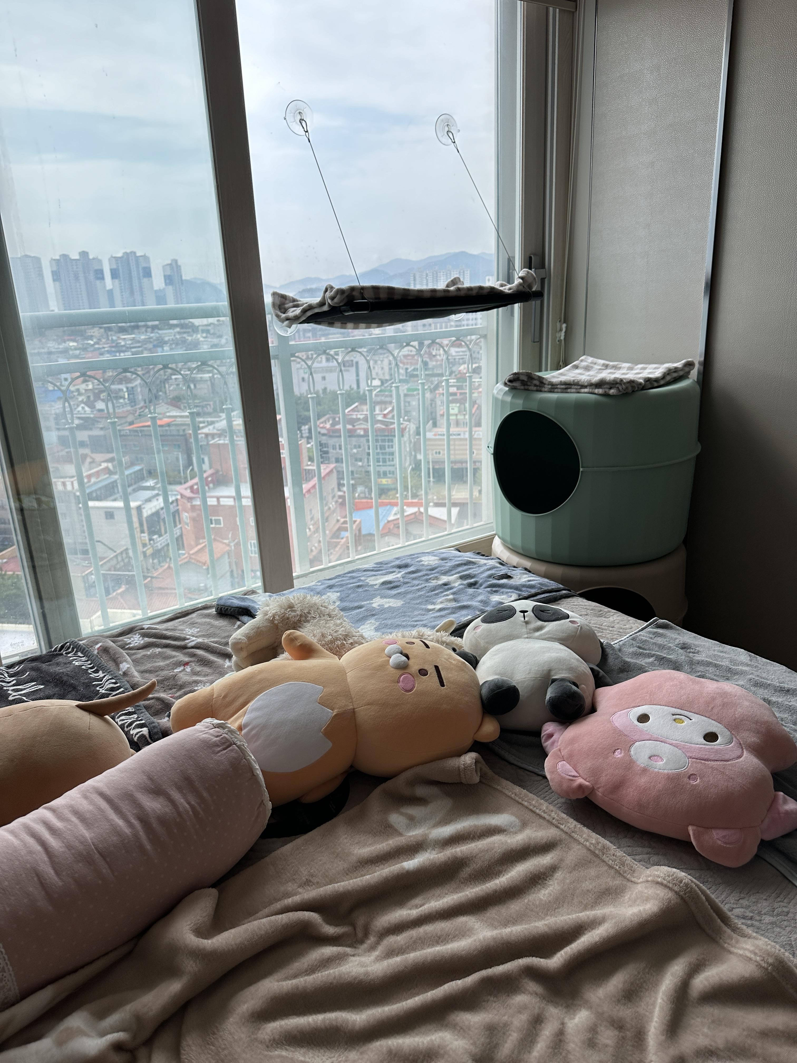 안방에_놓여진_2층_마카롱하우스