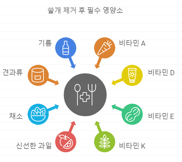 쓸개 제거후 영양소