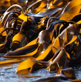 이석증 증상 후유증 원인 예방치료방법