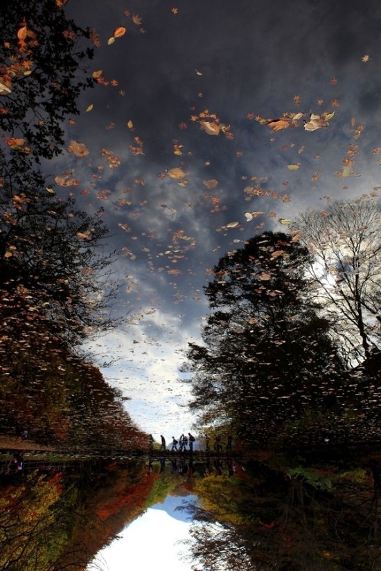 국민취업지원제도