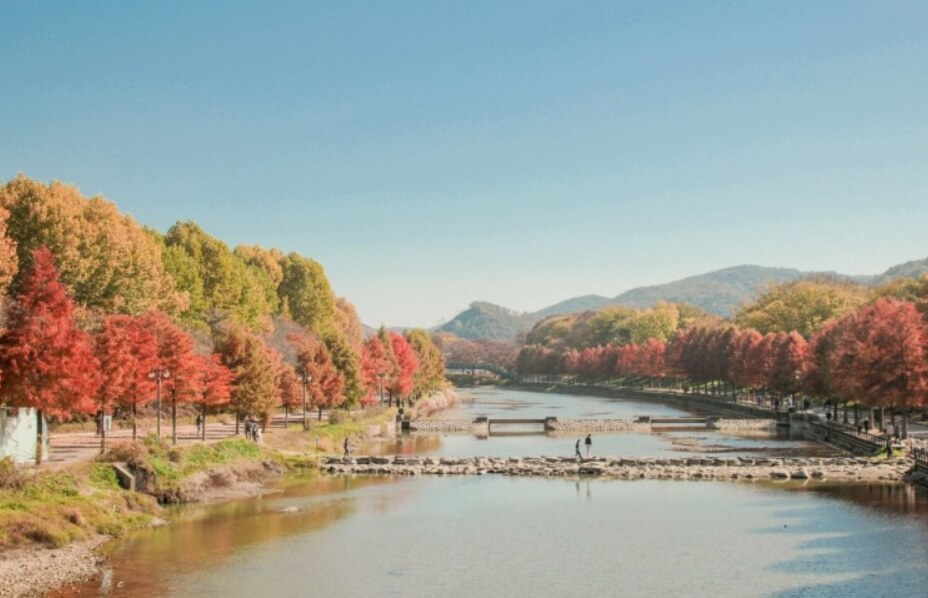 2024년 가을 단풍시기 (출처 : 한국관광공사)
