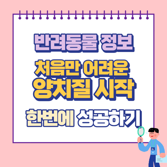 반려동물 양치질