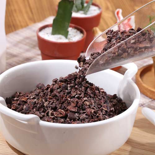 카카오닙스 효능 및 부작용