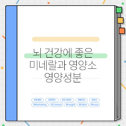 뇌 건강에 좋은 미네랄과 영양소 영양성분