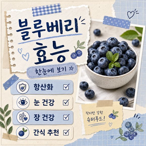 블루베리 효능