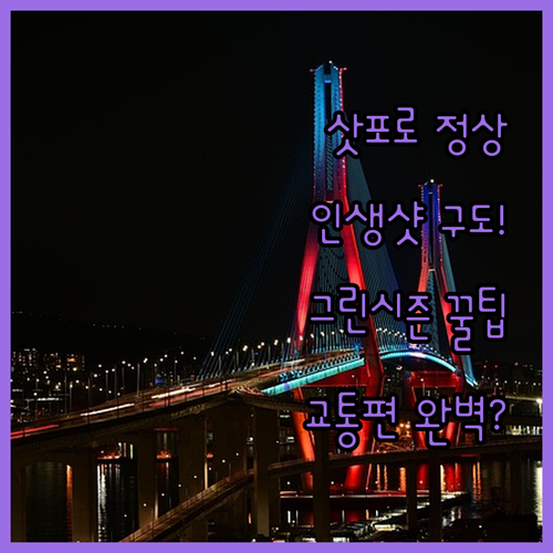 삿포로 국제 스키장 정상 곤돌라 전망..