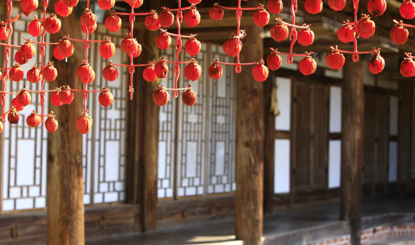 Dried persimmons (gotgam) hanging outside a traditional Korean hanok during autumn.