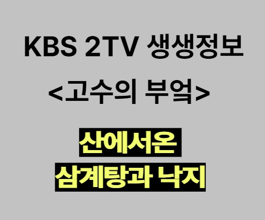 KBS 2TV 생생정보