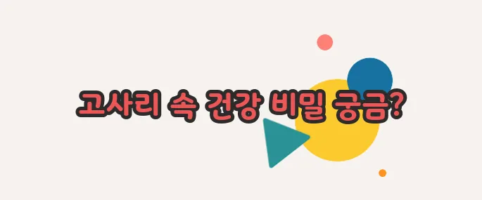 고사리 효능 정확히 짚어볼게요