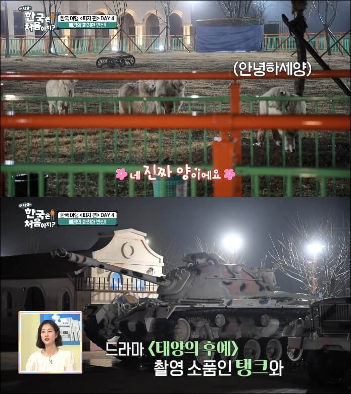 태백-폐광