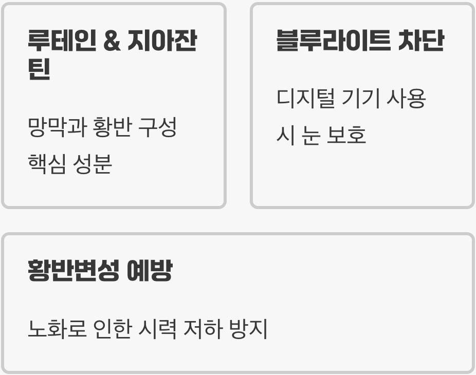 눈 건강의 새로운 희망, '루테인'과 '지아잔틴'