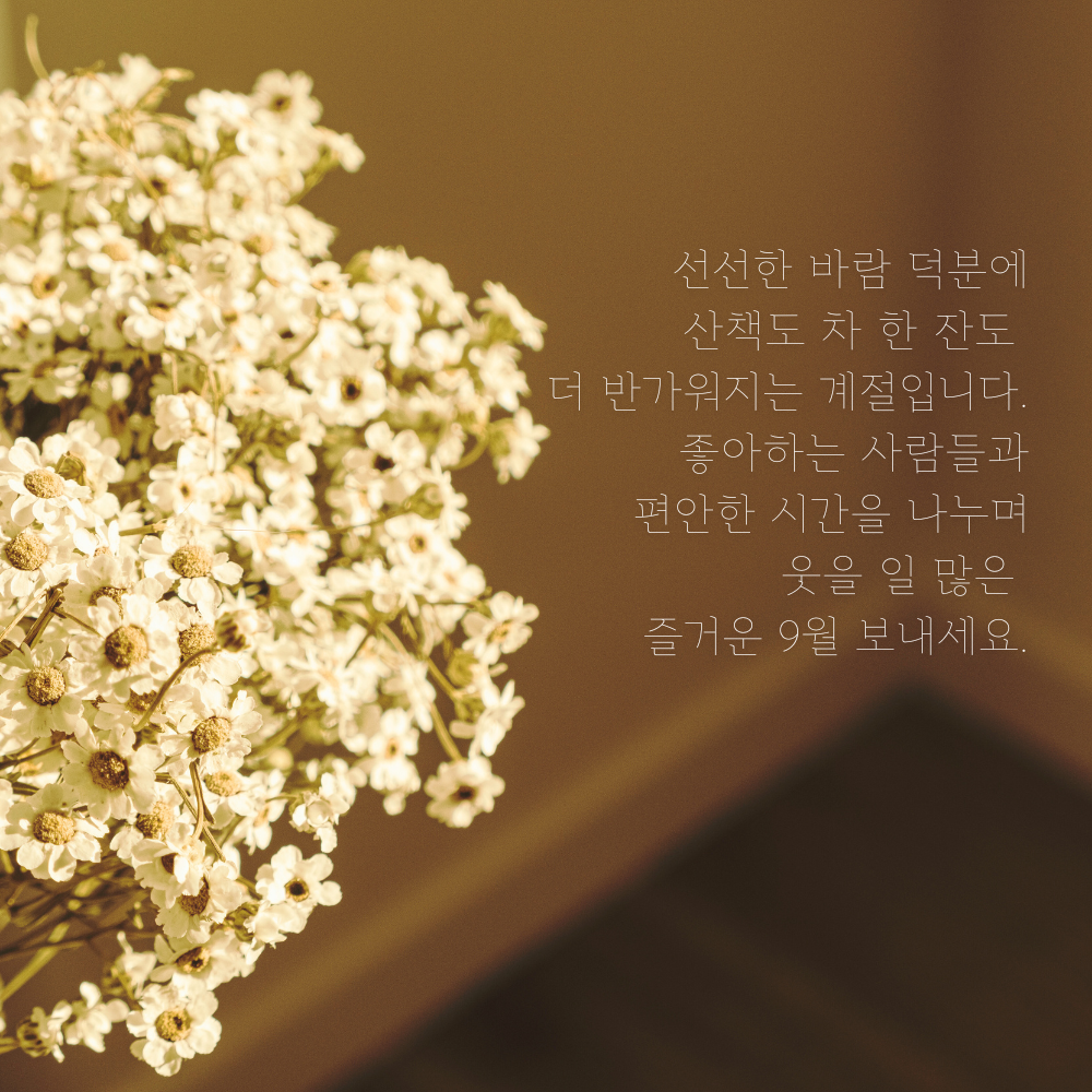 선선한 가을바람 속 편안하고 행복한 시간을 바라는 9월 인사말 이미지