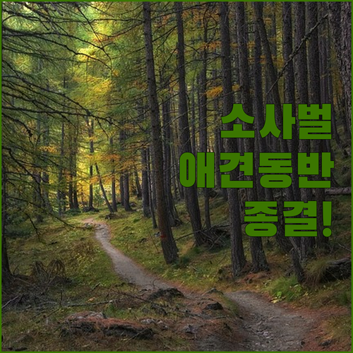 평택 소사벌 애견 동반 맛집 산책 코..