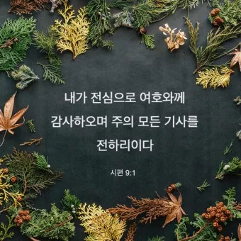 시편 91장 11절 읽기 - 그가 너를 위하여 그의 천사들을 명령하사_2